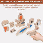 Matoyi Balancing Animals & Rainbow Stacker Combo