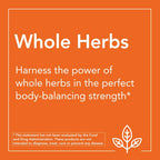 Now Foods Dandelion Root 500mg Veg Capsules | Grab2Buy